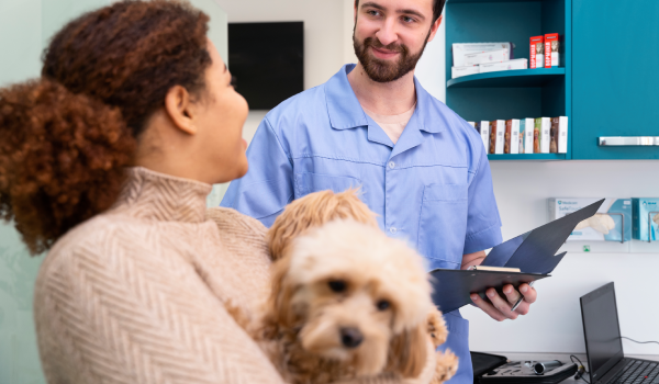 Serviço Endocrinologista - Clínica Veterinária Bolt